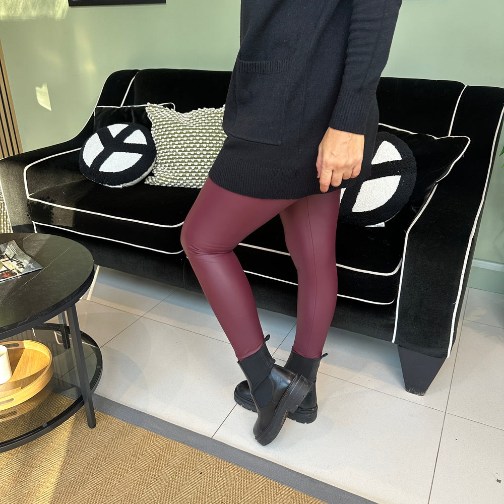 Leah Leather Look Leggings